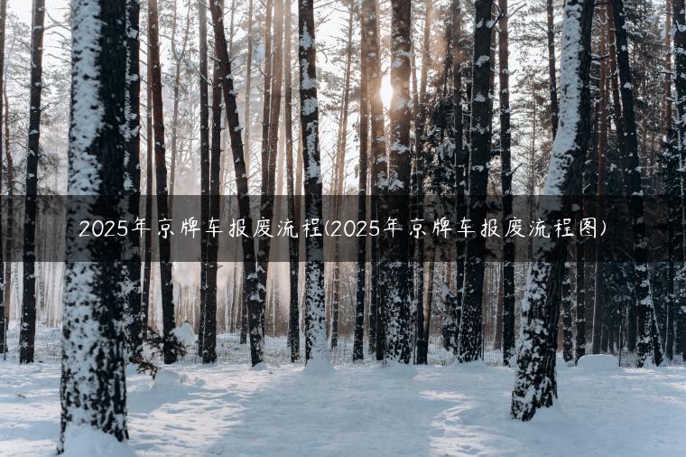 2025年京牌车报废流程(2025年京牌车报废流程图)