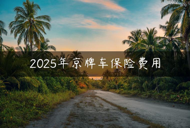 2025年京牌车保险费用