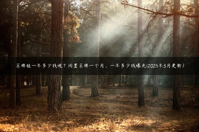 京牌租一年多少钱呢？闲置京牌一个月、一年多少钱曝光(2025年3月更新）