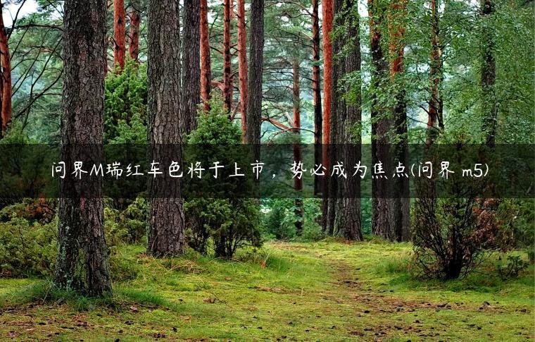 问界M瑞红车色将于上市，势必成为焦点(问界 m5)
