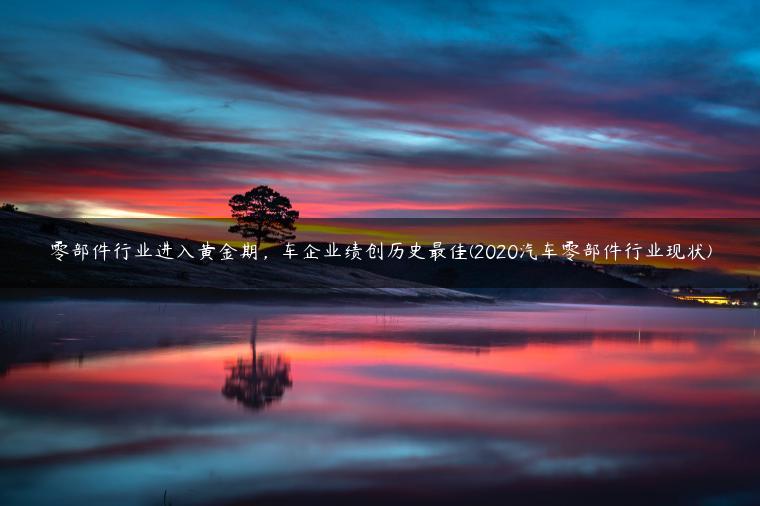 零部件行业进入黄金期，车企业绩创历史最佳(2020汽车零部件行业现状)