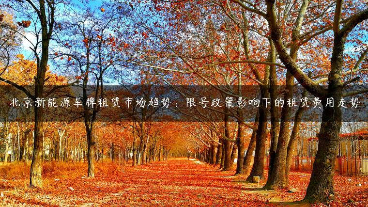 北京新能源车牌租赁市场趋势：限号政策影响下的租赁费用走势