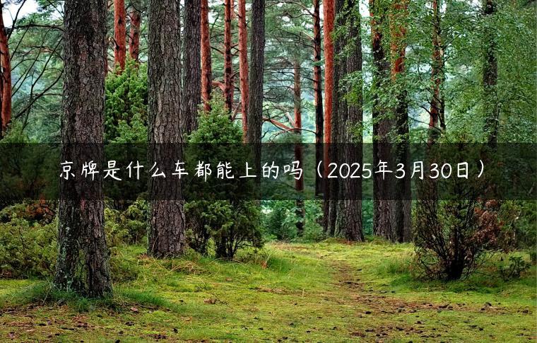 京牌是什么车都能上的吗（2025年3月30日）