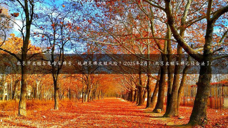 北京市出租车是啥车牌号、规避京牌出租风险？(2025年2月）(北京出租车牌已经合法了)