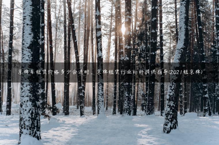 京牌车租赁价格多少合适时，京牌租赁行业标杆提供指导(2021租京牌)