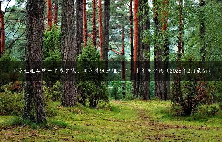 北京租租车牌一年多少钱、北京牌照出租三年、十年多少钱（2025年2月最新）