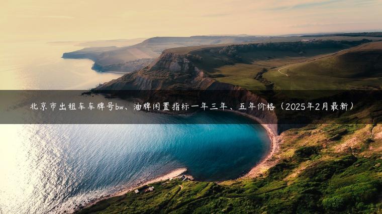 北京市出租车车牌号bw、油牌闲置指标一年三年、五年价格（2025年2月最新）