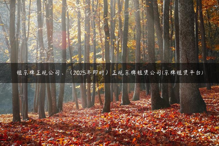 租京牌正规公司、（2025年即时）正规京牌租赁公司(京牌租赁平台)
