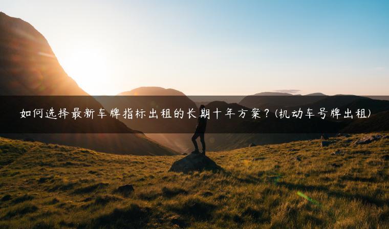 如何选择最新车牌指标出租的长期十年方案？(机动车号牌出租)
