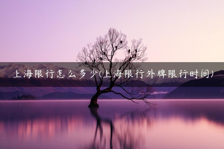 上海限行怎么多少(上海限行外牌限行时间)