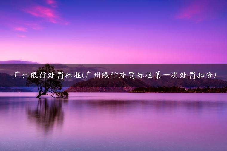 广州限行处罚标准(广州限行处罚标准第一次处罚扣分)