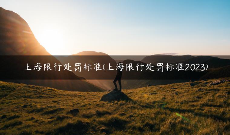上海限行处罚标准(上海限行处罚标准2023)