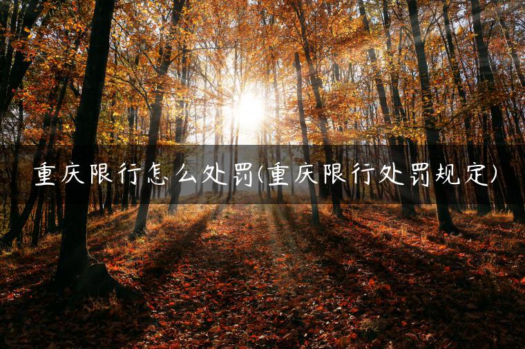 重庆限行怎么处罚(重庆限行处罚规定)