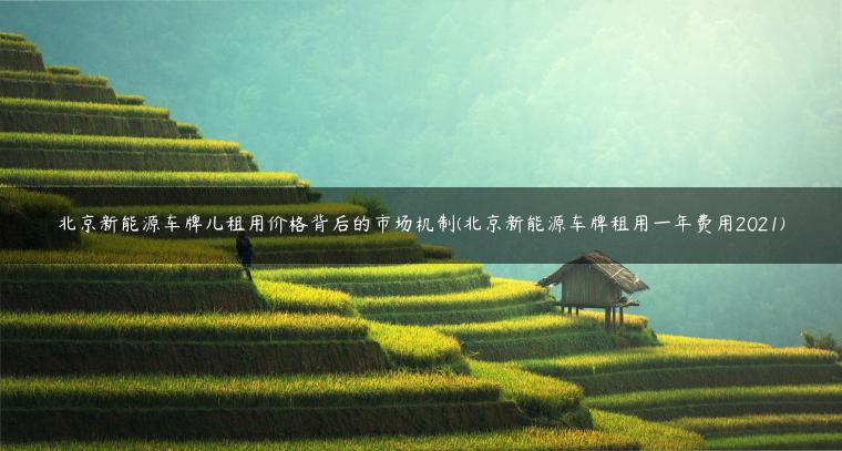 北京新能源车牌儿租用价格背后的市场机制(北京新能源车牌租用一年费用2021)