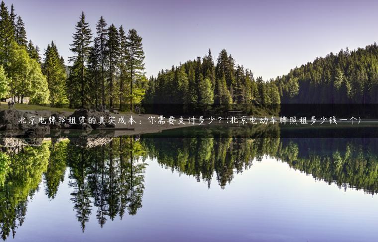 北京电牌照租赁的真实成本：你需要支付多少？(北京电动车牌照租多少钱一个)