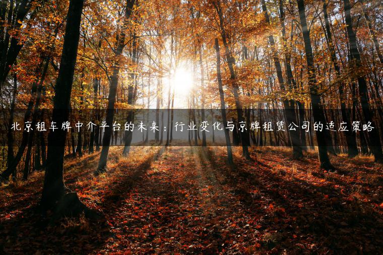 北京租车牌中介平台的未来：行业变化与京牌租赁公司的适应策略