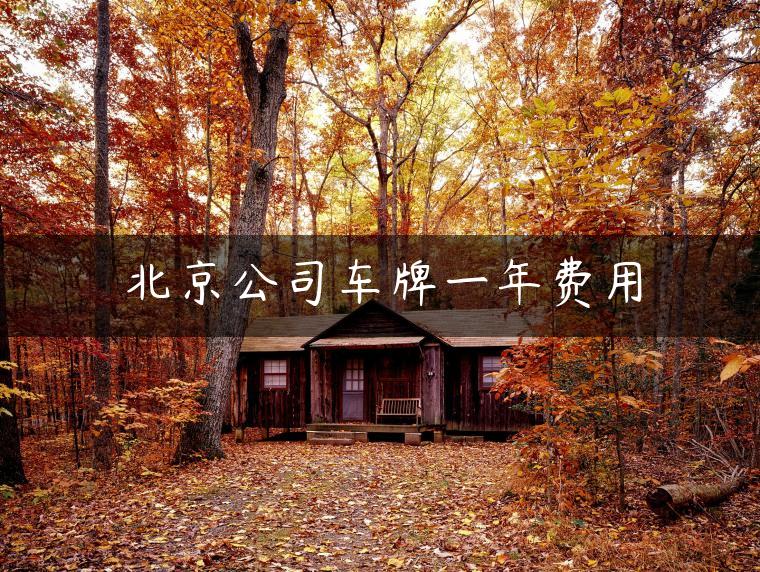 北京公司车牌一年费用