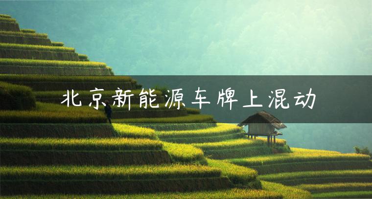 北京新能源车牌上混动