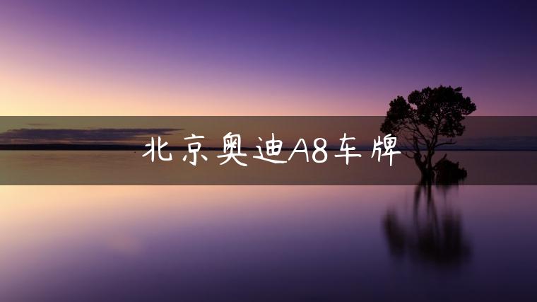 北京奥迪A8车牌