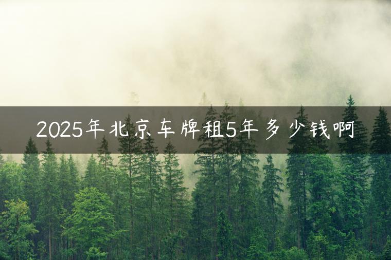 2025年北京车牌租5年多少钱啊