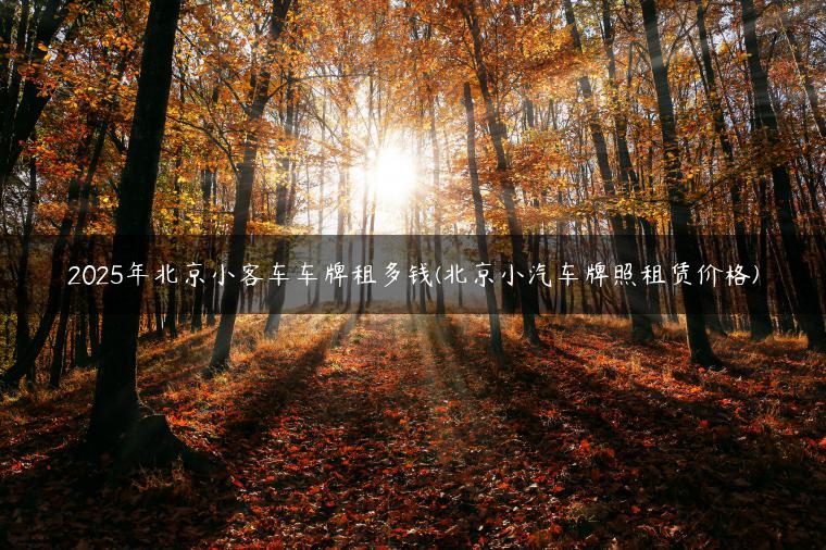 2025年北京小客车车牌租多钱(北京小汽车牌照租赁价格)