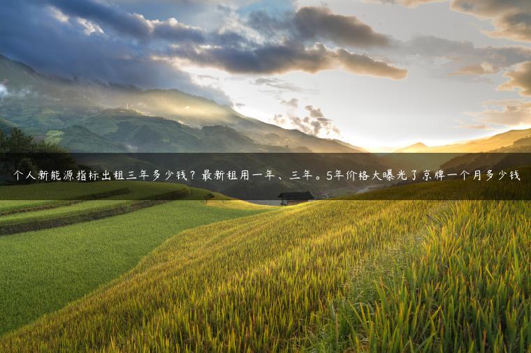 个人新能源指标出租三年多少钱？最新租用一年、三年。5年价格大曝光了京牌一个月多少钱